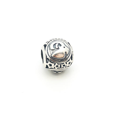 Zodiac Capricorn Charm Beads - Stone Heart 