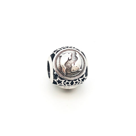 Zodiac Pisces Charm Beads - Stone Heart 